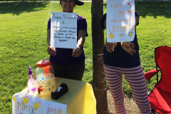 lemonade-stand-for-raising-money-for-remote-school-in-India